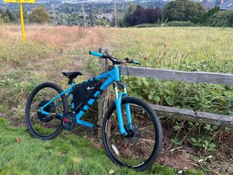 Custom e-bike