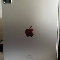 iPad Pro 11 Inches 3rd Generation 