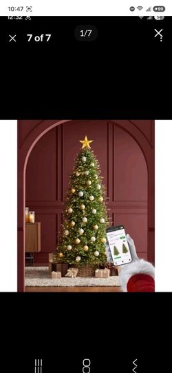 7.5 ft pre lit grand dutchess twinkling Balsam fir Christmas tree