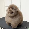 Edgar