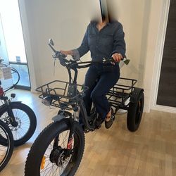Electric Bike, Electric Trike