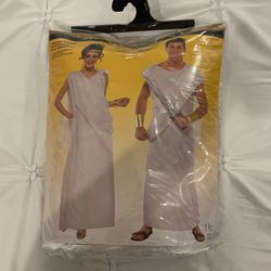 GODS AND GODDESSES ADULT TOGA COSTUME