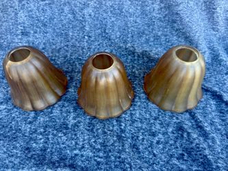 Amber Scalloped Shades 