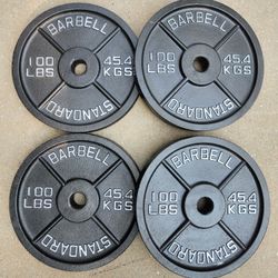 Rogue Olympic Iron Weight Plates 100s