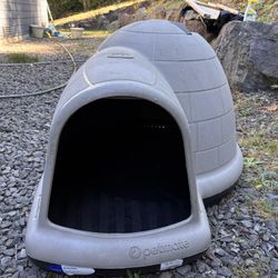 Igloo Dog House