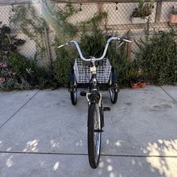 Adult Ecarpat Senior 24 Tricycle