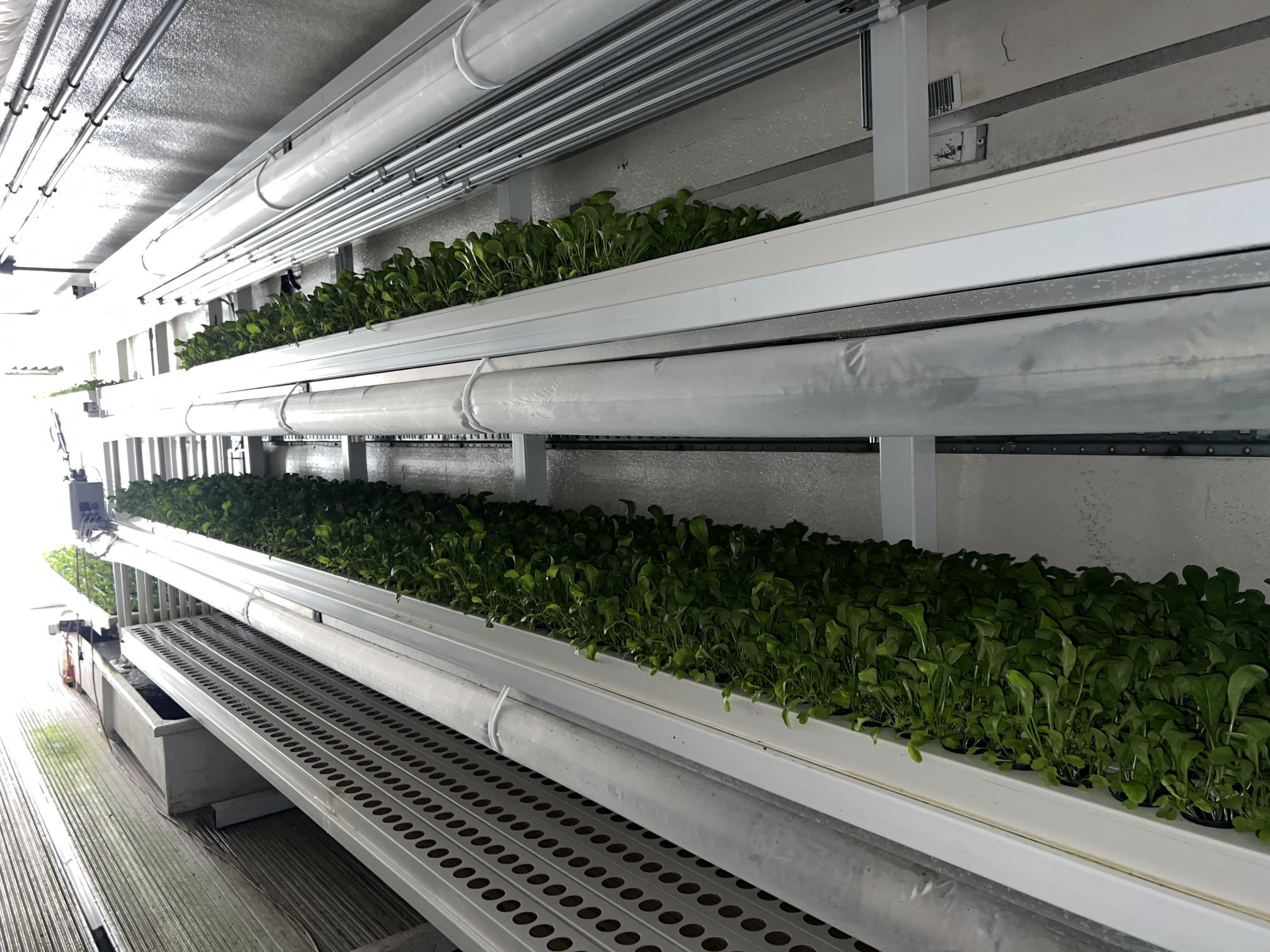 42’ Refrigerated trailer Converted To Greens Grow System