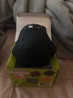 Bear squishy