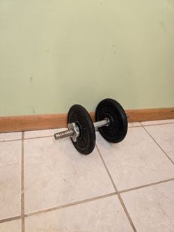 Adjustable Dumbbells + 40lb Plates