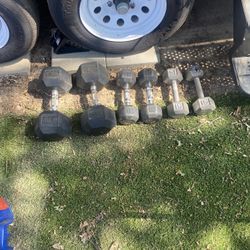 Dumbbells Weights