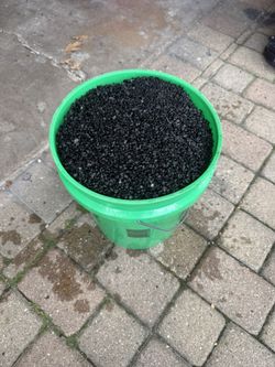Aquarium Gravel 