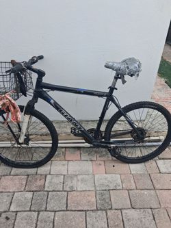 3 Bikes for 120$