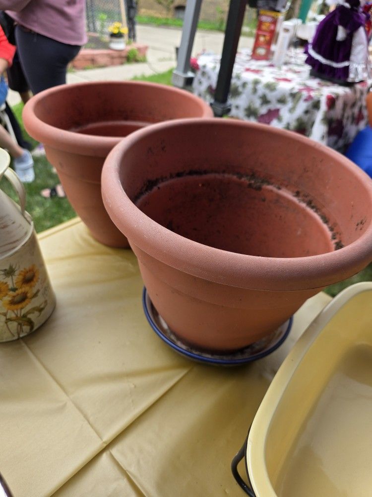 Flowers pot 2