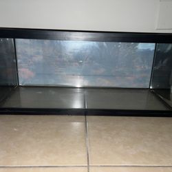 20 Gallon Tank