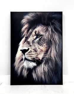 Large Beautiful Lion On Canvas