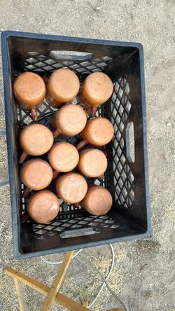 Cantaritos