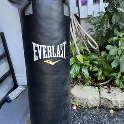 80 Pound Everlast Heavy Bag 