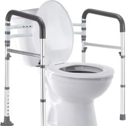Toilet Safety Rails