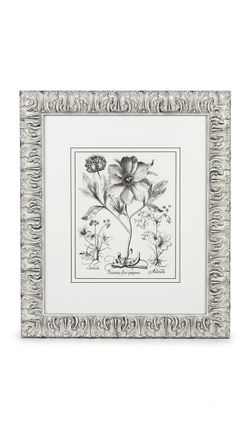 Black White Peonie II" Botanical Print