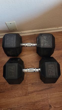 75 lb Rubber Dumbbells ( Pair) Like New