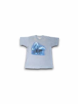 Vintage 1998 Stevie Nicks Enchanted Tour T-Shirt XL Light Blue Fruit of the Loom