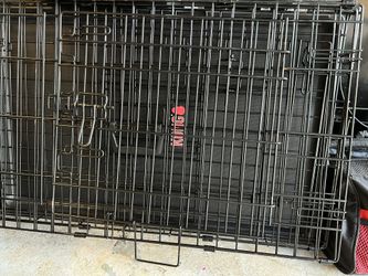 Kong Medium Crate