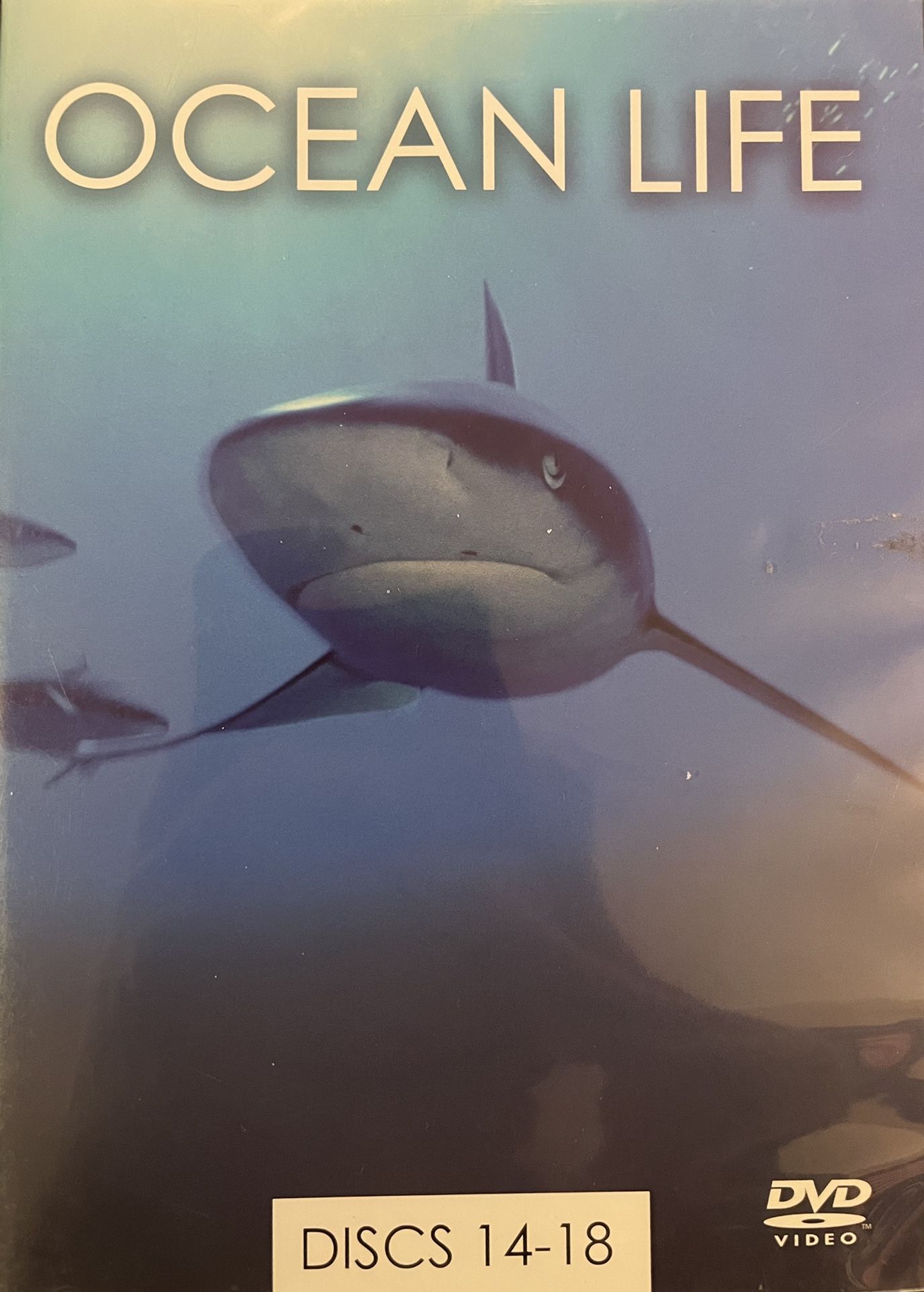 OCEAN LIFE Discs 14-15-16-17-18 (DVD) 5-Discs!