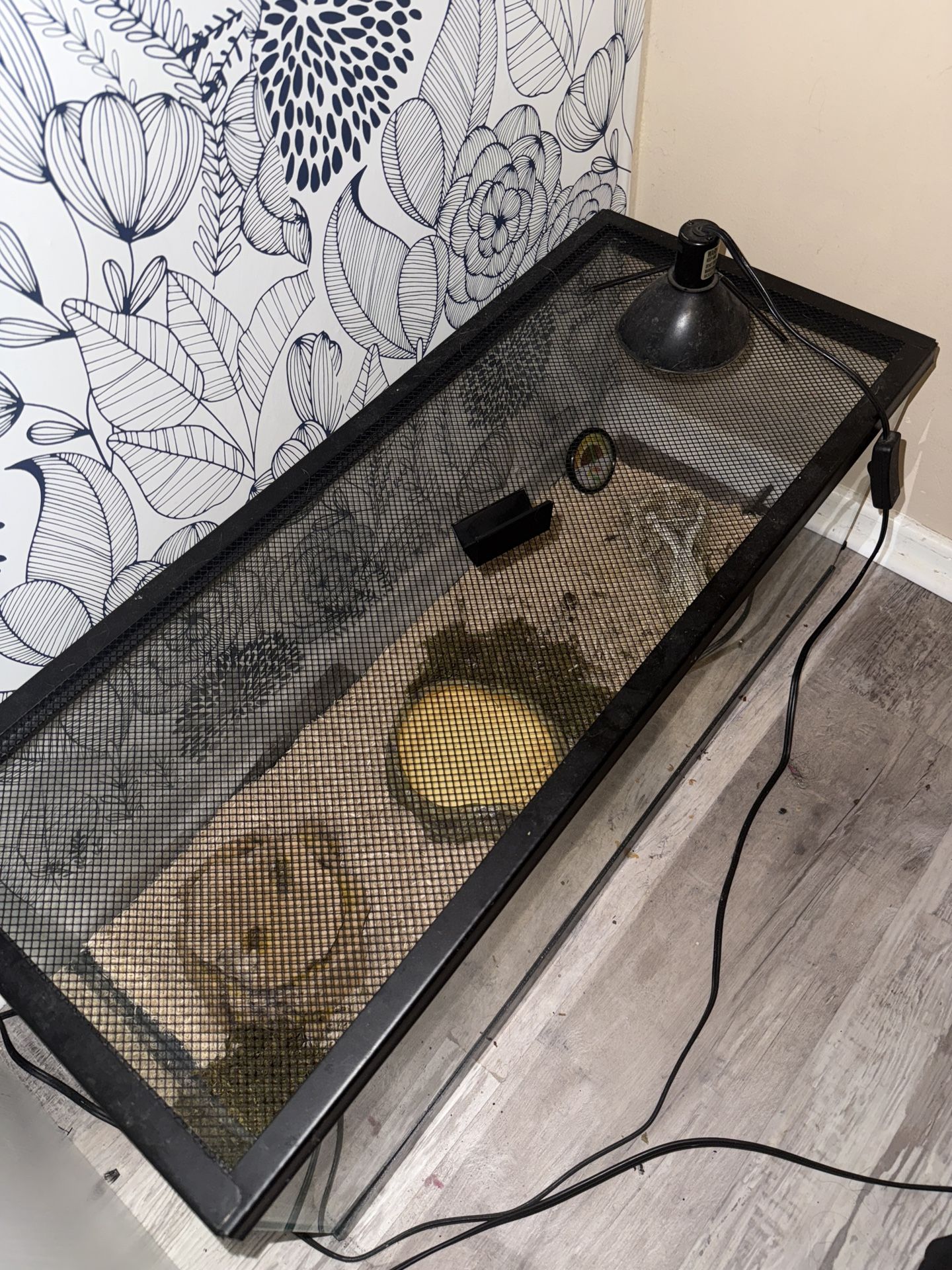 20 Gallon SNAKE / REPTILE TANK