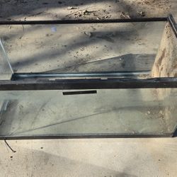 FISH TANK
