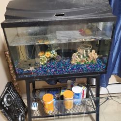 fishbowl