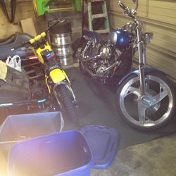 1999 Dyna Wide Glide