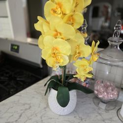 Yellow Flower Plant Decor 