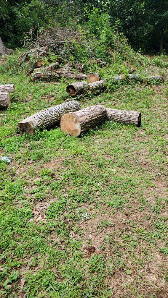Free Logs, Chopped, , Pine And Oak