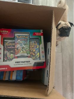 First partners series 2