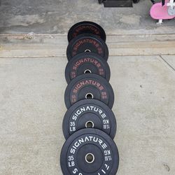 Signature Fitness Bumper Weight Set (290 lbs)