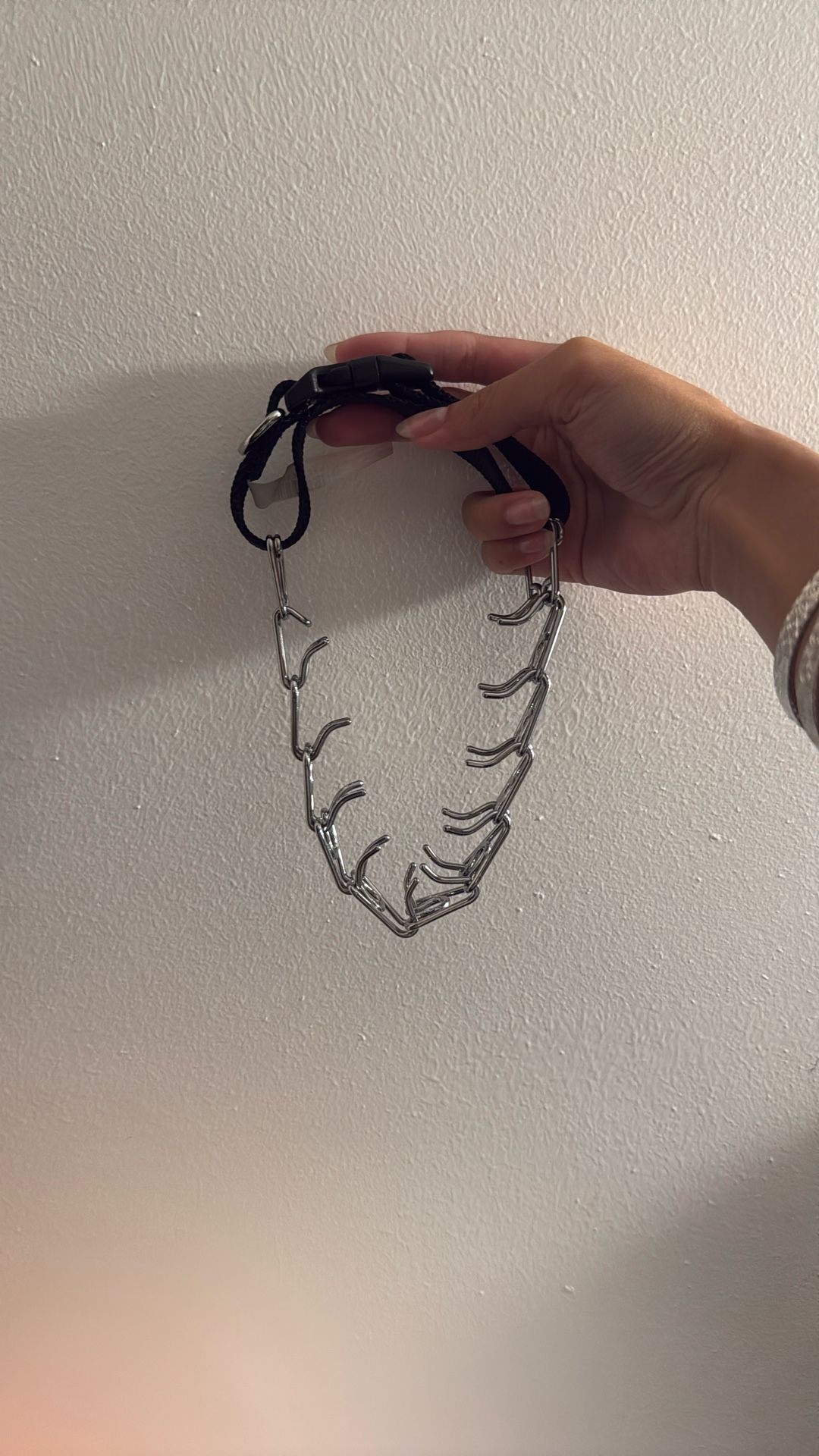 Stop Pulling Collar For Puppy Training