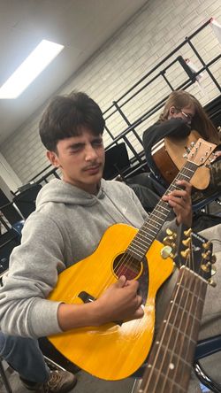 Guitar