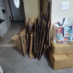 Moving Boxes and Dish Packing Kit