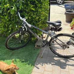 Specialized Expedition Elite Bike