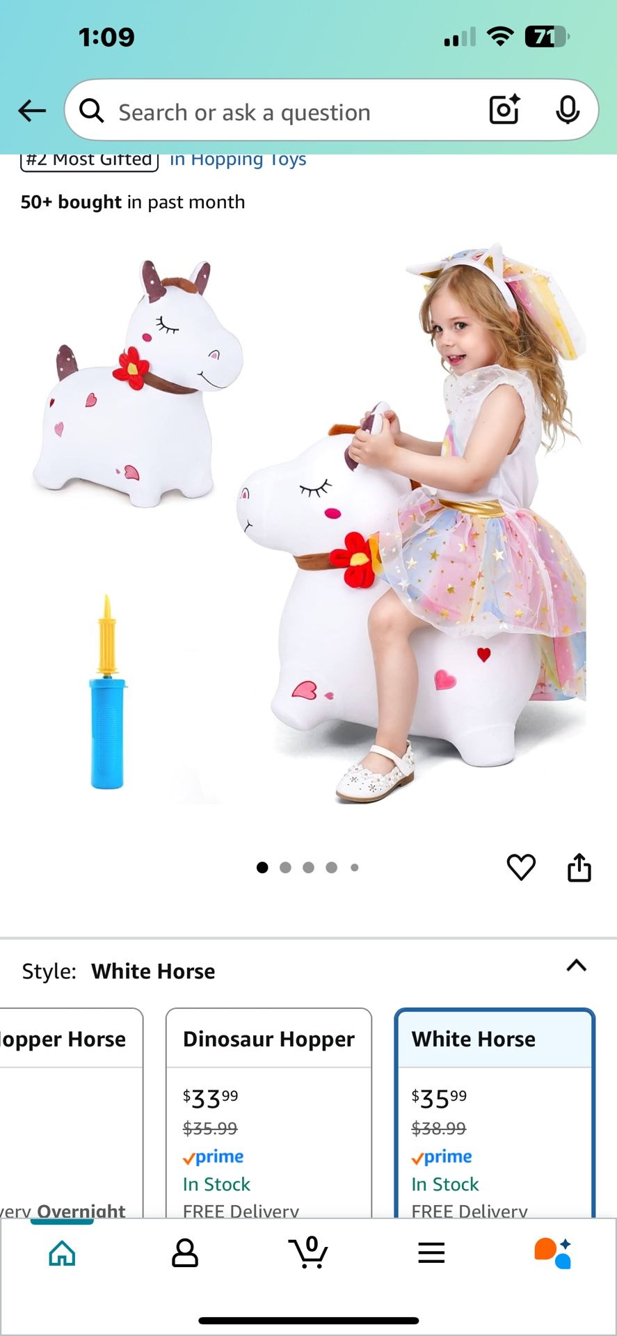 Toddler Blow Up Horse
