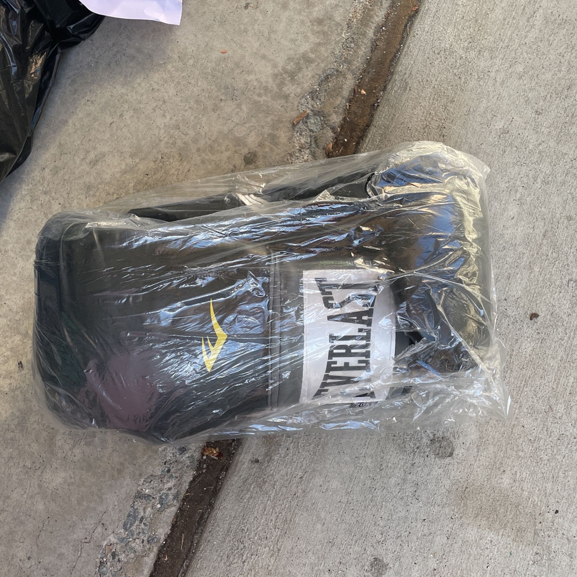 Everlast New Boxing Gloves 