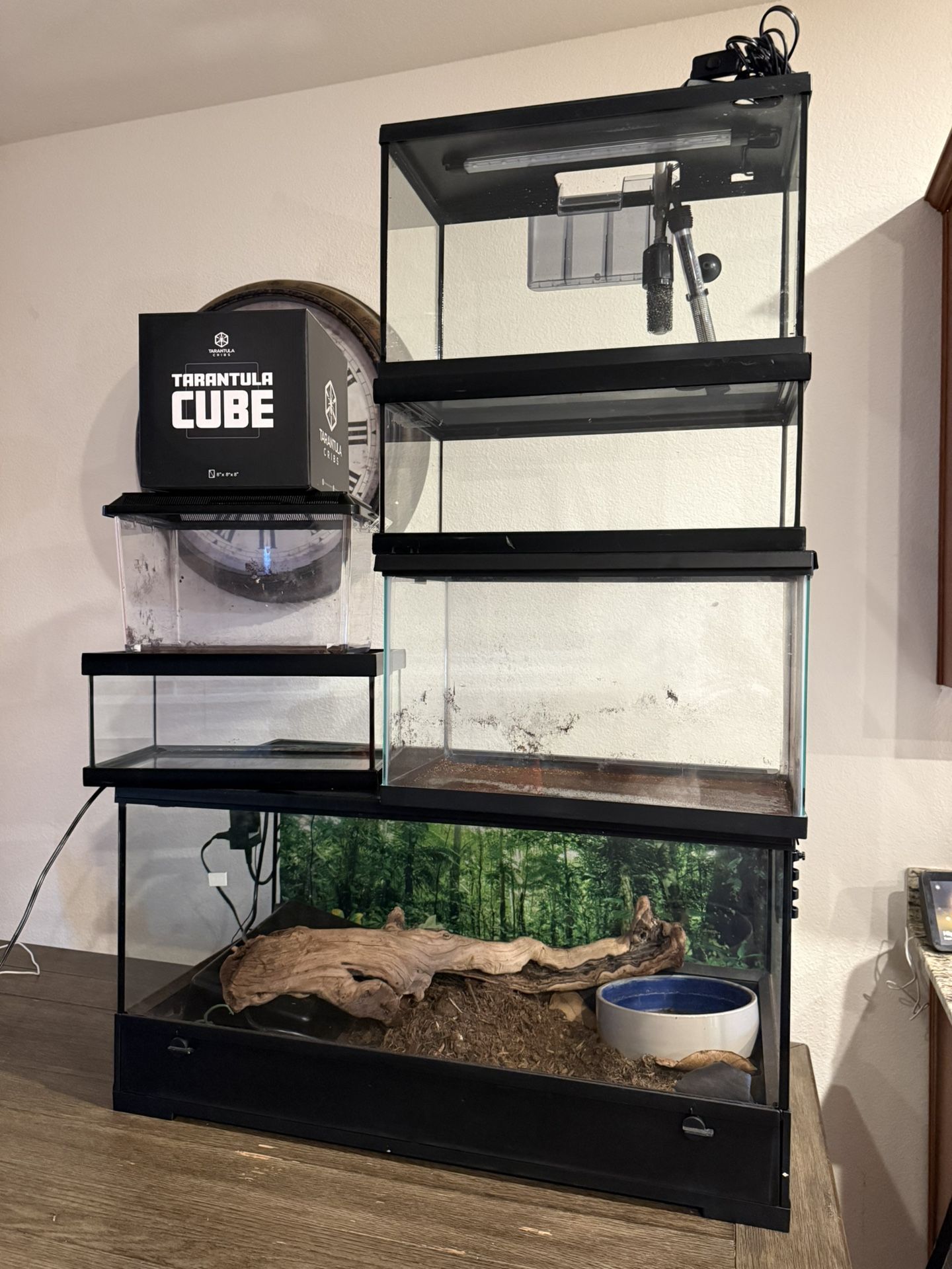 🔥 Reptile & Aquarium Setup Bundle - Bioactive Ready - Everything Included! 🔥