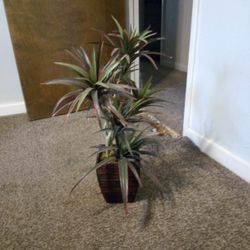 Fake Plant