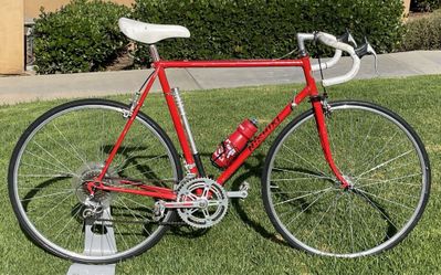 1981 Nishiki Comp II