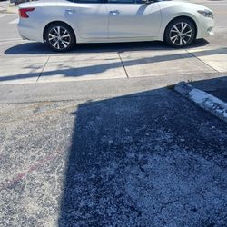 Nissan Maxima Platinum 