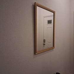 Mirror Rectangle $35 Obo 