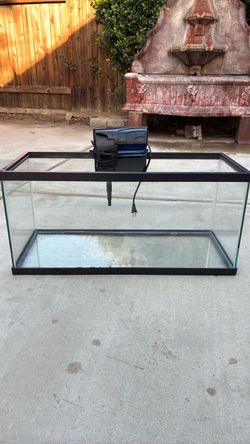 20 gallon long tank and filter