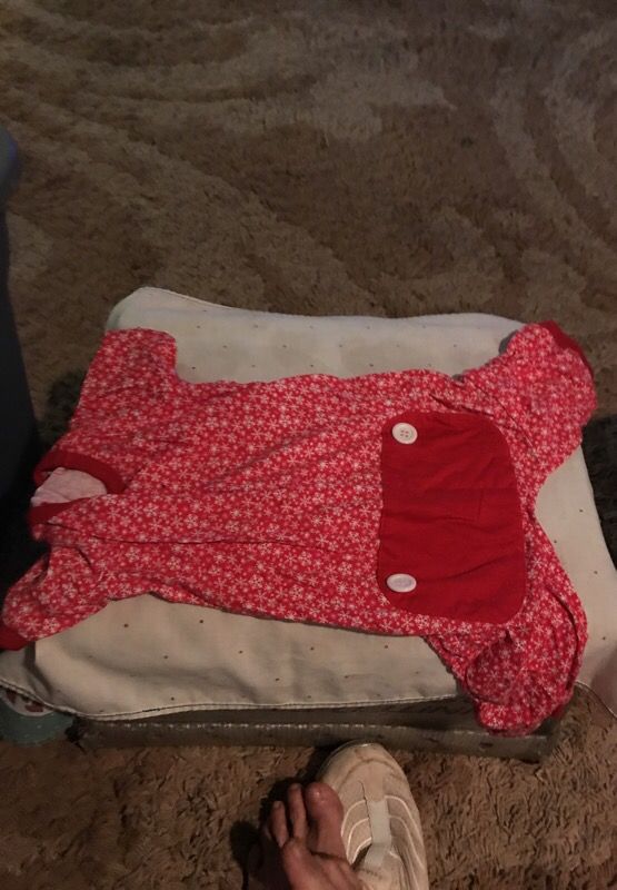 Puppy pjs