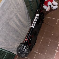 Gotrax Scooter