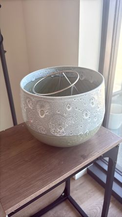Plant Vase